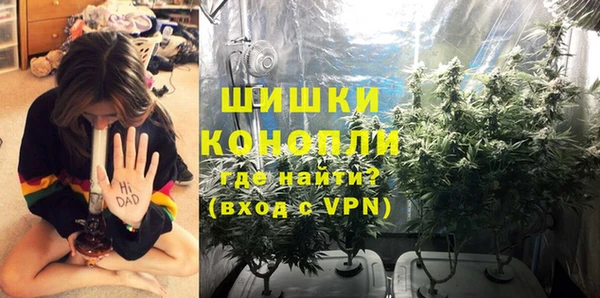 трава Наволоки