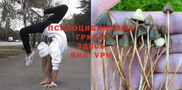 трава Наволоки