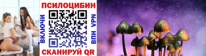 Купить  Северобайкальск  Галлюциногенные грибы Psilocybine cubensis 